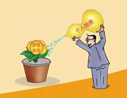 社保是不是一定要所有險種一起繳？ 第1張