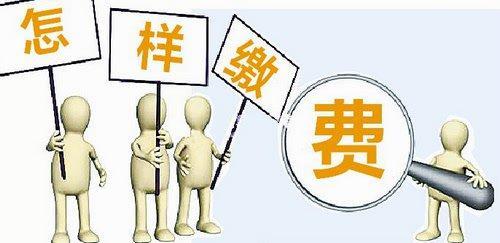 什么公司可以代繳養老保險？ 第1張