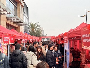 “百米小巷”人潮涌動(dòng)！瑞方人力助力2025年武侯區(qū)春風(fēng)行動(dòng)專場(chǎng)招聘會(huì)“開門紅” 第5張